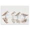 Stupell Industries Sandpipers Shore Reflection Wall Plaque Art Design by Petal Prints Design